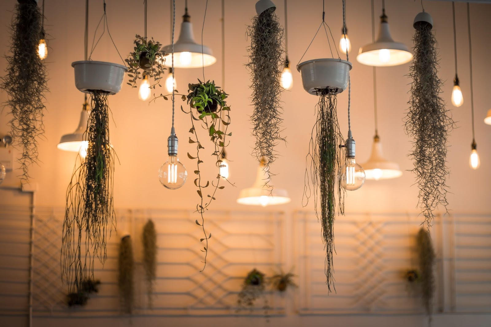 Lanterns and chandelier