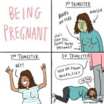 Pregnancy Trimester memes