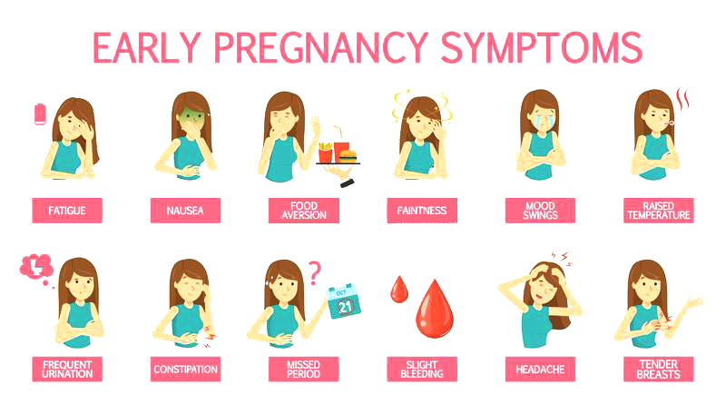 early pregnancy symptoms before missed period