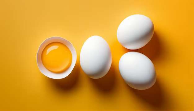 Exploring the Story of Eggs: How Many Eggs Are Present in the Embryo?