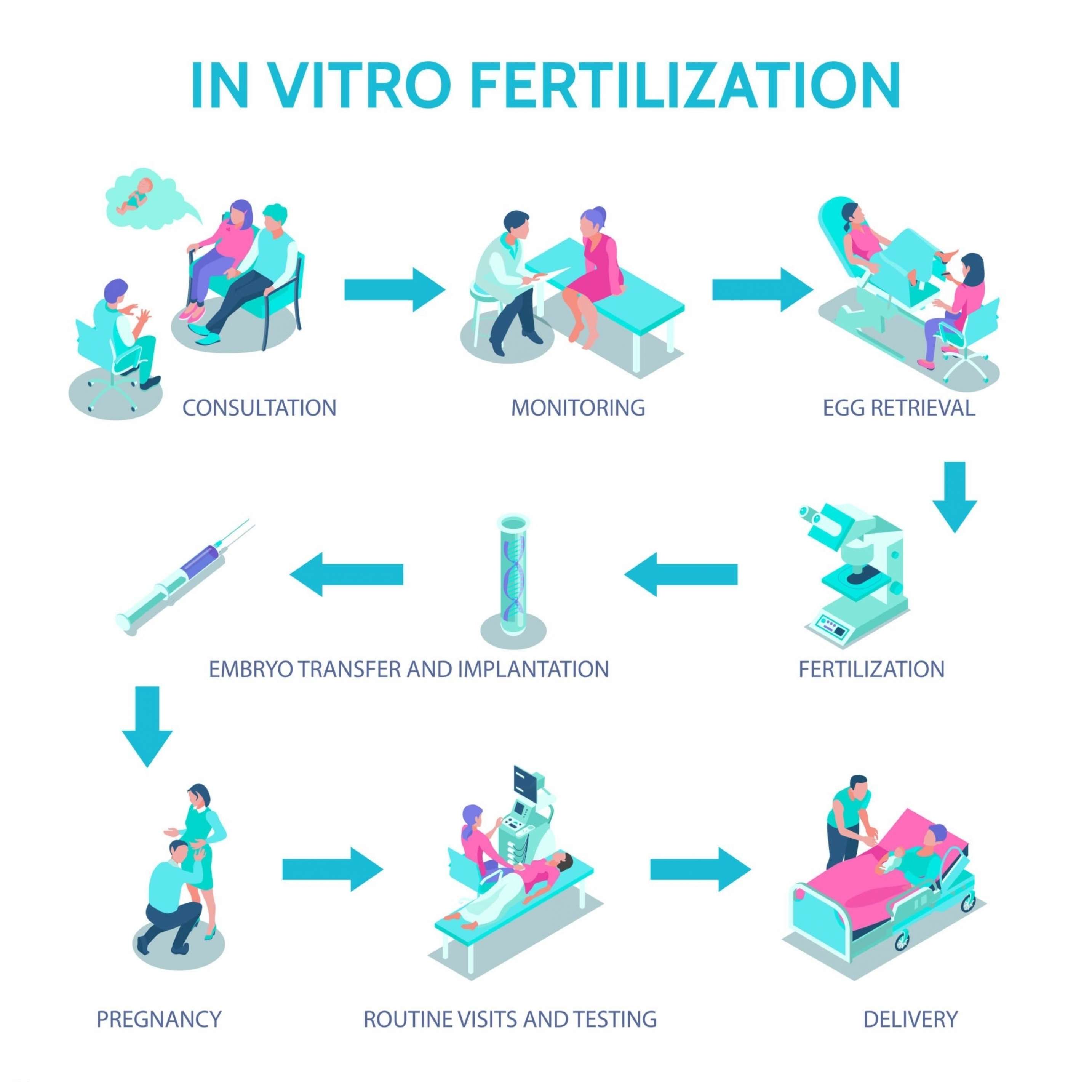 Types of IVF process