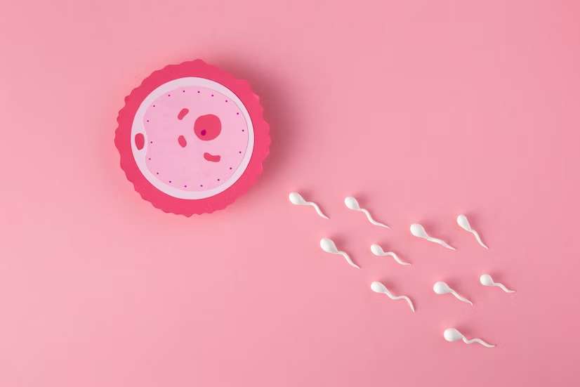 Ovulation Disorders that you should be aware of